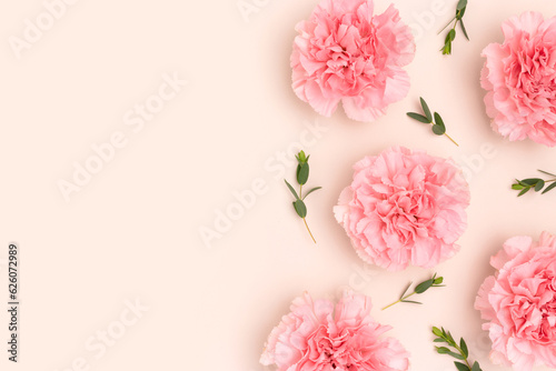 Pink carnation flowers and eucalyptus branches on a beige background. © rorygezfresh