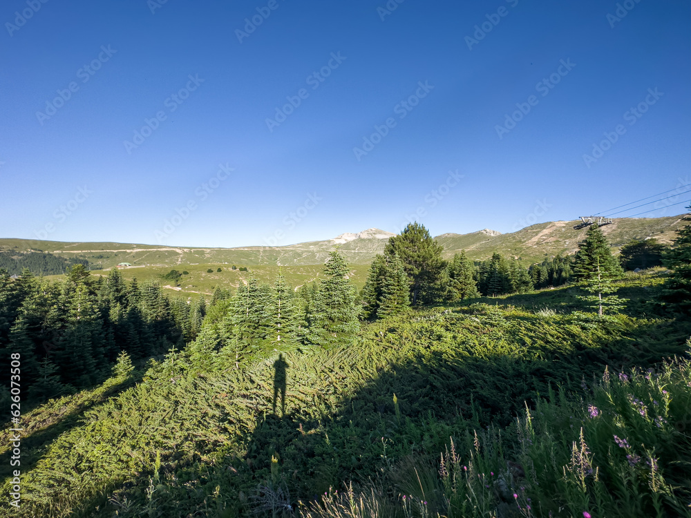 meadows in the foreground, Uludag in Bursa in the background , Uludag fully revealed with its melted snow , blue sky meadows in the foreground, Uludag in Bursa in the background , Uludag fully revealed with its melted snow , blue sky
