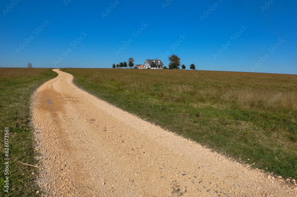 Obraz premium Gravel road leading through a picturesque cattle farm.