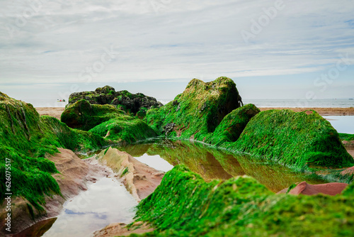 Sandstone cliffs of Exmouth beach,England.UK. photo