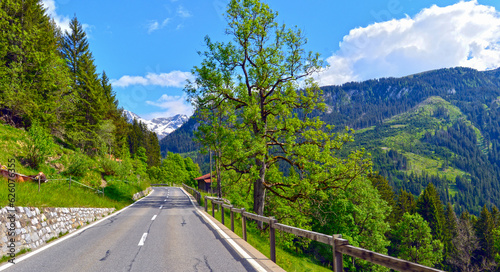 Die Arosastraße bei Langwies in der Region Plessur, Gemeinde Arosa im Kanton Graubünden (Schweiz) photo
