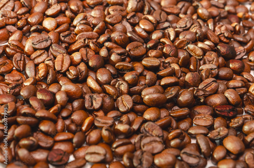 fresh beautiful shiny roasted coffee beans in close up with nice lighting fresh beautiful shiny roasted coffee beans in close up with nice lighting