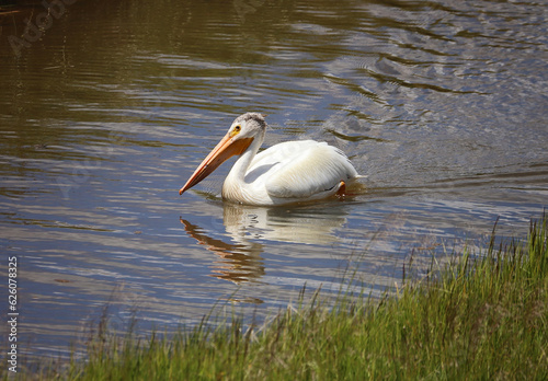 River Hunter