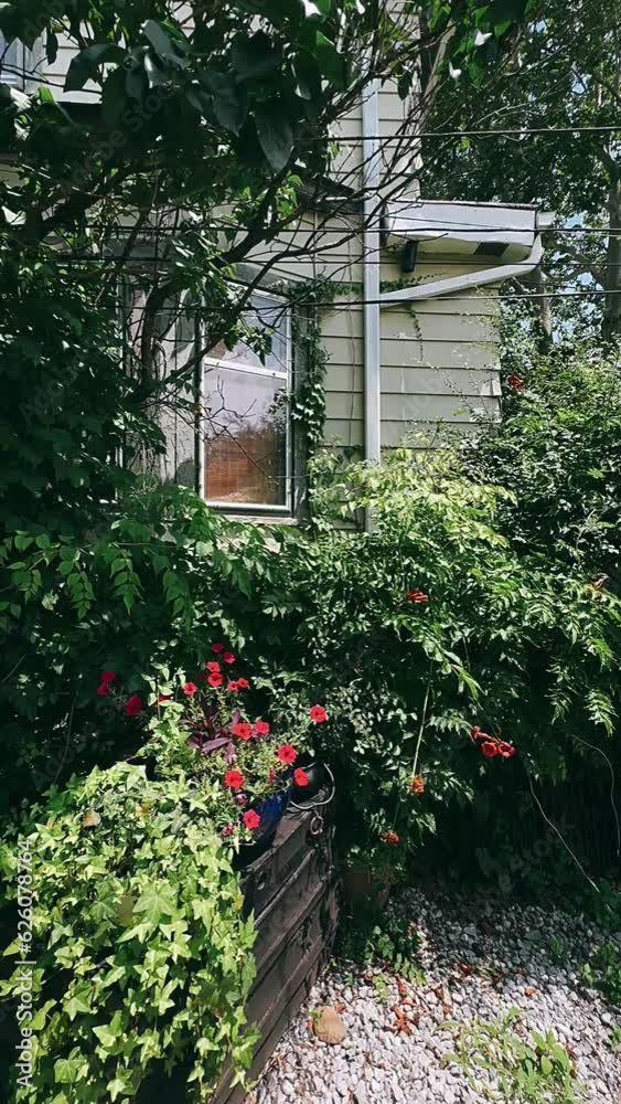 old house in the woods, garden, flowers, flower gardens, nature, house, flower, summer, tree, plant, spring, home, gardening, architecture, red, bloom, window, building, landscape, outdoors, color, bl