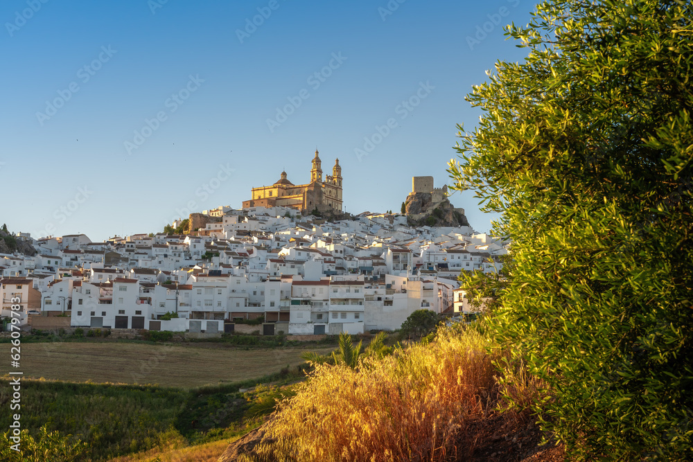 Olvera Skyline at sunset with Castle and Church - Olvera, Andalusia, Spain