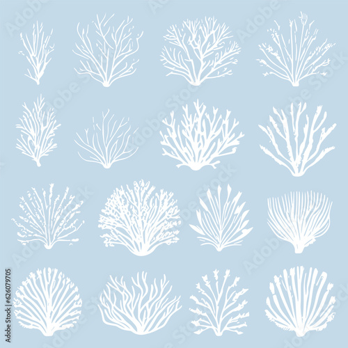 Set of monochrome vector silhouettes of seaweed of different shapes, highlighted on a blue background Underwater flora, marine plants. Linear clipart. Vintage marine plants