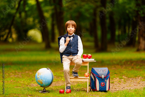 Cute schoolboy with apples, backpack, globe and books in the park, child studying outdoors. September 1. Last school bell. Back to school.High quality photo. Blurred background. 