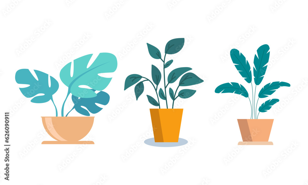 Vector flat houseplant collection Vector flat houseplant collection