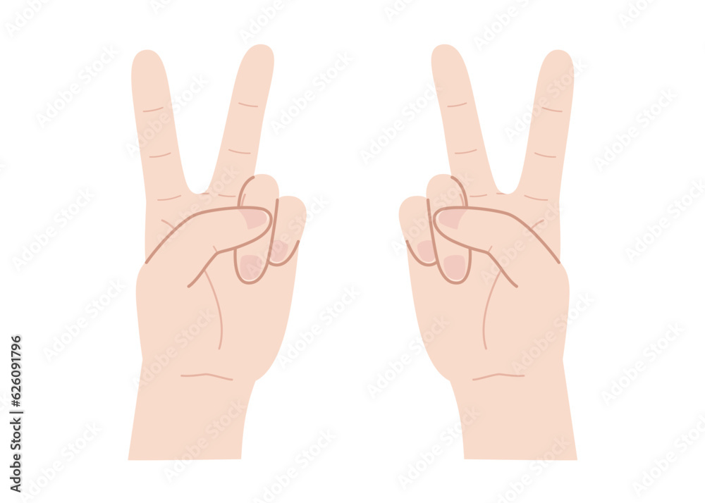Vector illustration of two hands making the V-sign Vector illustration of two hands making the V-sign