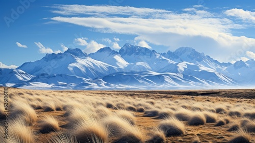 The Patagonian steppe in Argentina, with wind-swept grasslands and a backdrop of snow-capped Andean peaks.