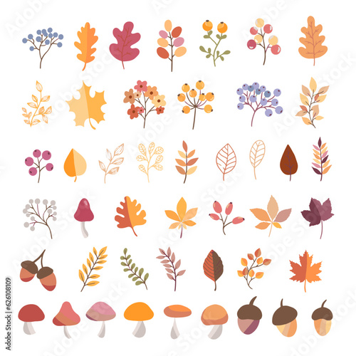 Set of colorful autumn leaves and berries. Isolated on a white background. Simple cartoon flat style. vector illustration.