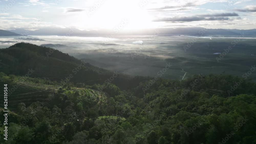 Aerial move over plantation at hill slope at Kedah Aerial move over plantation at hill slope at Kedah