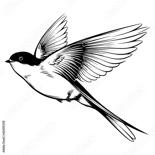 Barn swallow silhouette, Barn swallow mascot logo, Barn swallow Black and White Animal Symbol Design, Bird icon.