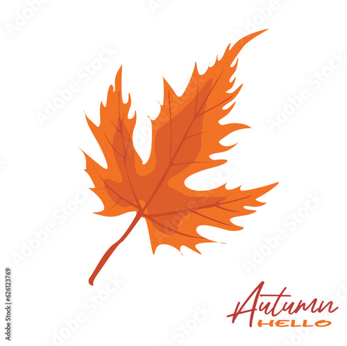 Autumn maple leaves vector illustration.  Autumn  leaves design template for decoration  sale banner  advertisement  greeting card and media content. Autumn concept. Flat vector isolated on white.