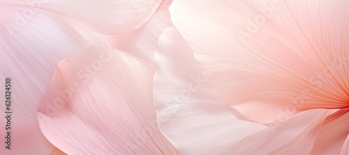 flower petal in pink pastel tone with blurred style for background pattern texture, macro shot © cartoon-IT