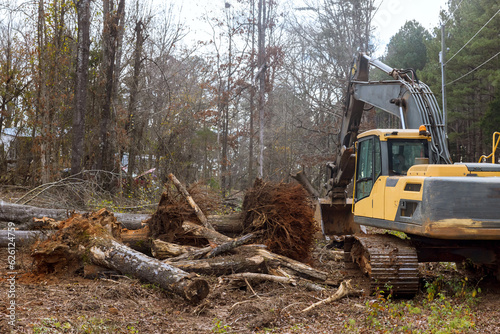 Worker is uprooting trees in forest with excavator to make space for house.