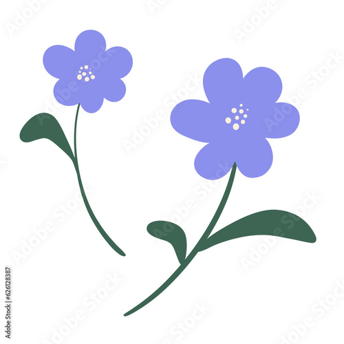 Two Blue Flowers