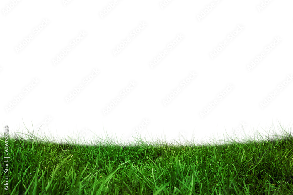 Digital png illustration of grass on transparent background Digital png illustration of grass on transparent background