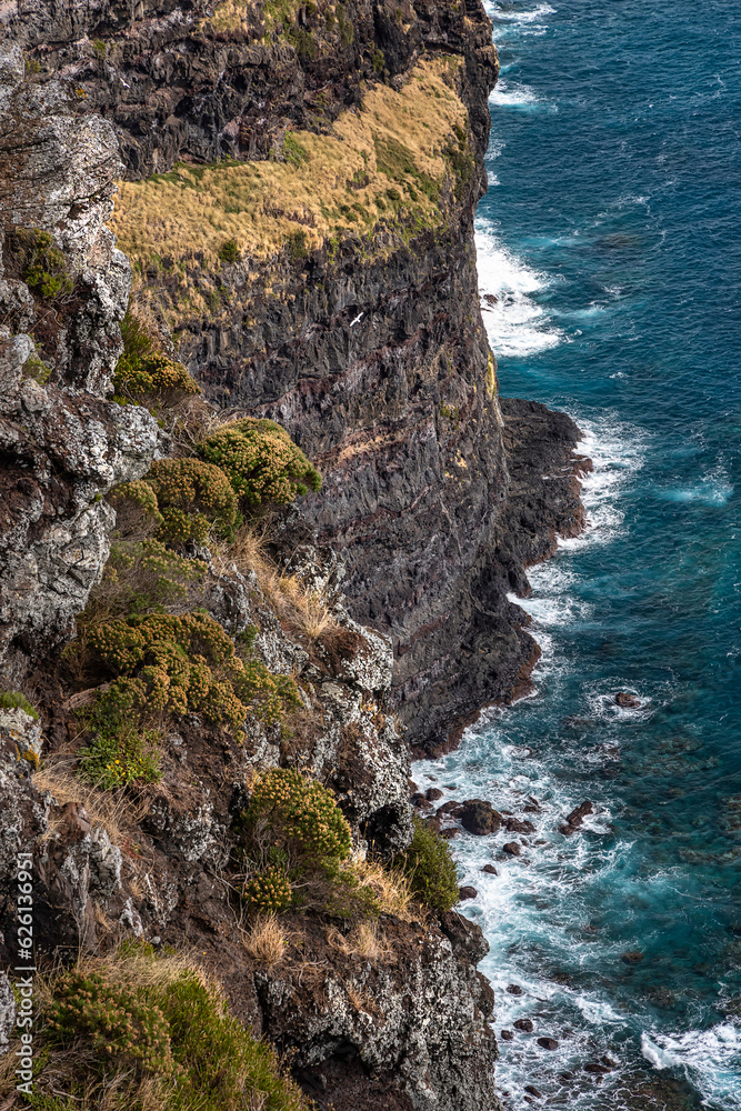 View near Kims Lookout, Lord Howe Island, Australia