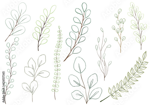 botanical line hand drawn set with different shape 