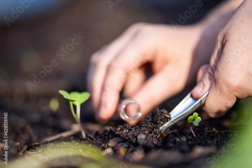 farmer collecting soil samples in a test tube in a field. Agronomist checking soil carbon and plant health on a farm. soil science in agriculture.