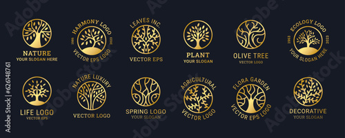 Logo tree. Golden tree collection, round oak, organic water drop, modern oil, leaf logotype, nature garden symbol, bloom farm. Emblem or badge. Simple label. Decorative vector herbal silhouette