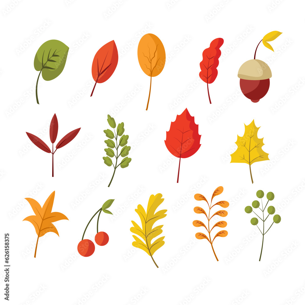 Obraz premium Autumn Leaves element