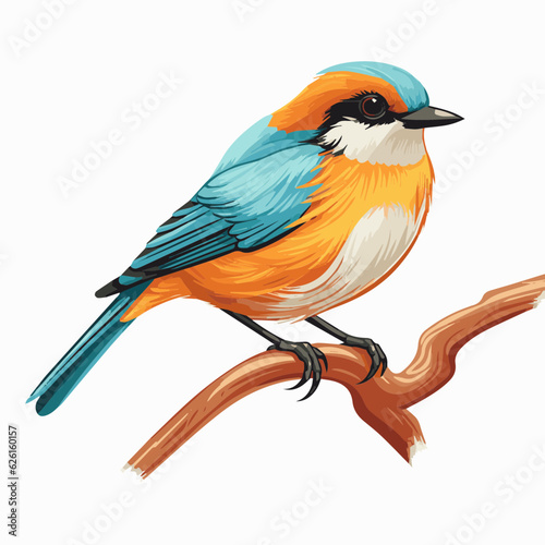 bird cartoon clipart vector white background © Young