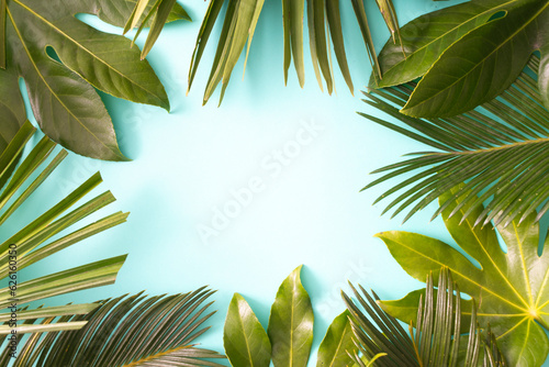 Troppical summer background with palm leafs on sky blue background. Nature concept photo