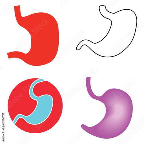 stomach icon vector