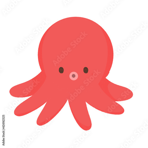 Octopus