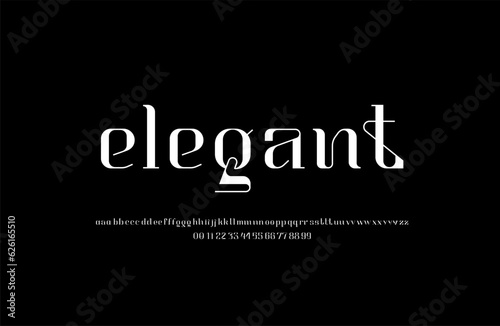 Elegant beautiful alphabet serif font, classic lettering, or design, set including two sets of differently lowercase letters and numbers, vector illustration 10EPS