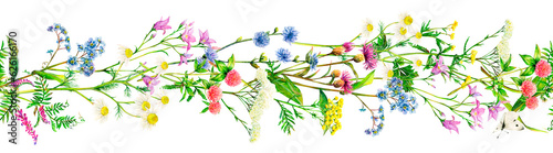 Realistic border from meadow wildflowers - field bell  clover  yarrow  camomile  forget-me-not  cornflower  mouse pees and tansy hand-drawn. Watercolor floral natural illustration of delicate plants