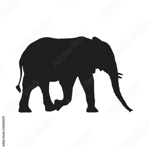 Elephant silhouettes 