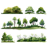 illustration of a tree, set of trees, collection of trees, tree isolated on white background, tree in the forest, tree in the forest, Tree on a white background