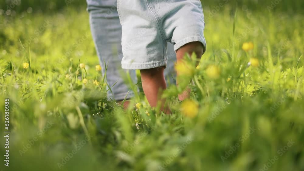 First steps of child in nature.Child,with help of his father, takes his first steps in park.Happy kid with dad on grass in park. toddler takes first steps in nature on green grass.Happy family concept First steps of child in nature.Child,with help of his father, takes his first steps in park.Happy kid with dad on grass in park. toddler takes first steps in nature on green grass.Happy family concept
