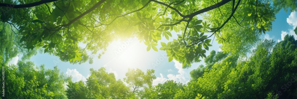 Fototapeta premium Sun shining through the trees banner and wallpaper background. Generative AI