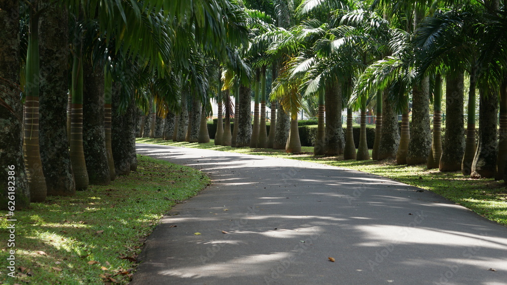 alley in the park, Peaceful Relax Relaxing Free Photo, Royal botanical garden in peradeniya