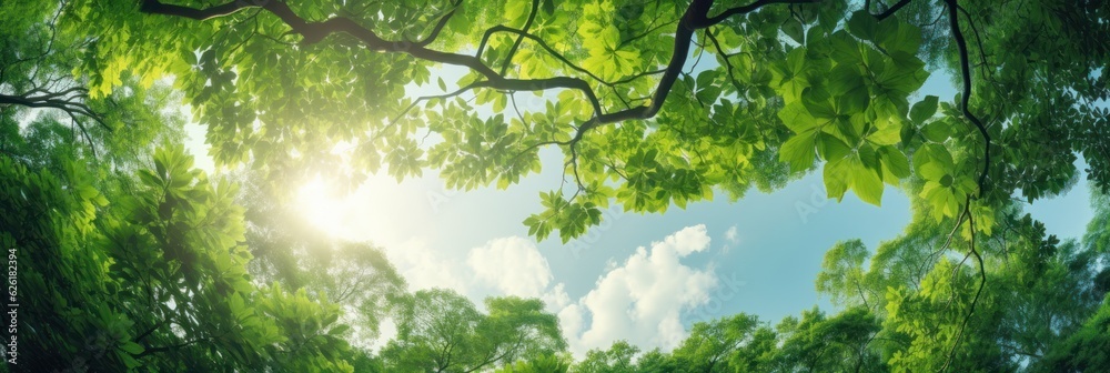 Sun shining through the trees banner and wallpaper background. Generative AI Sun shining through the trees banner and wallpaper background. Generative AI