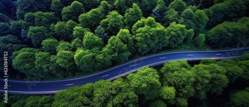 Aerial top view of road and green trees in forest. Pine forest of lush trees. Generative AI