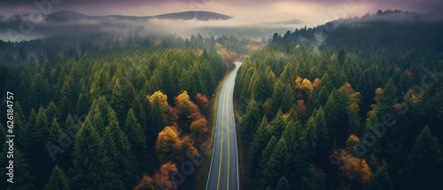 Aerial top view of road and green trees in forest. Pine forest of lush trees. Generative AI