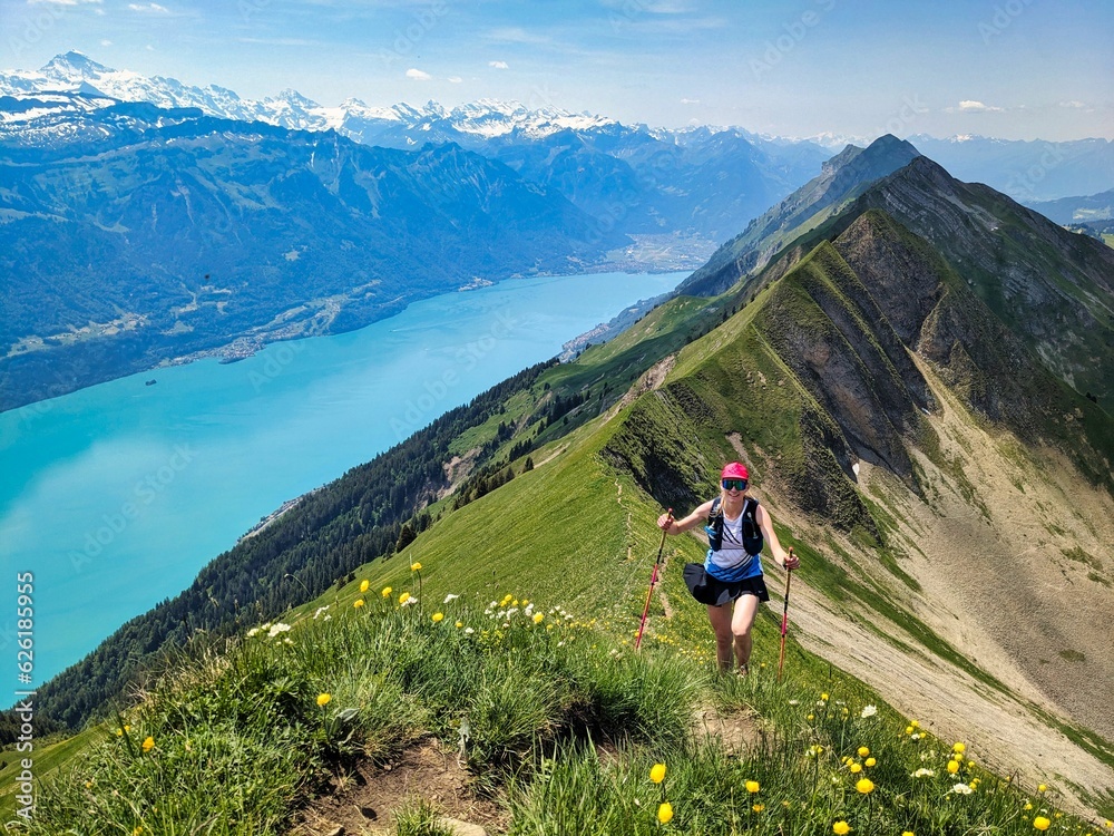 Naklejka premium Trail running on the Hardergrat. Hiking on the harder ridge. Breathtaking view above Lake Brienz. Brienzer Rothorn. High quality photo. Interlaken