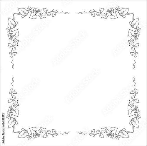 Black and white vegetal ornamental frame with wild flowers, decorative border, corners for greeting cards, banners, business cards, invitations, menus. Isolated vector illustration.