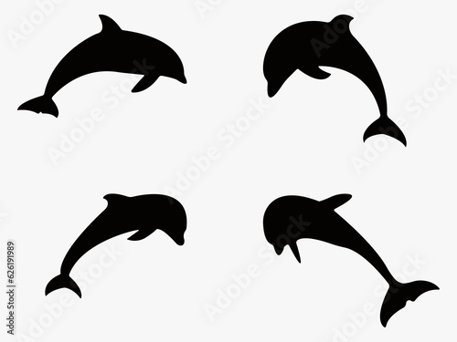 set of dolphins