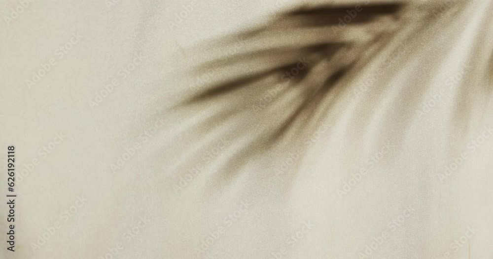 Animation of shadow of palm tree leaf moving with copy space over white fabric background