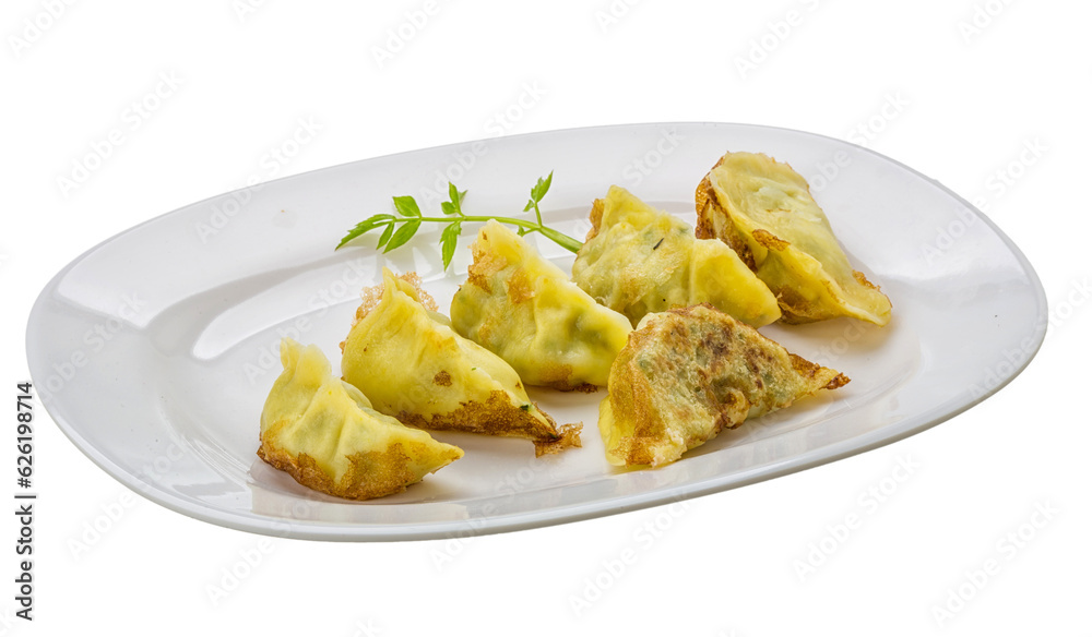 Japan dumplings - gyoza Japan dumplings - gyoza