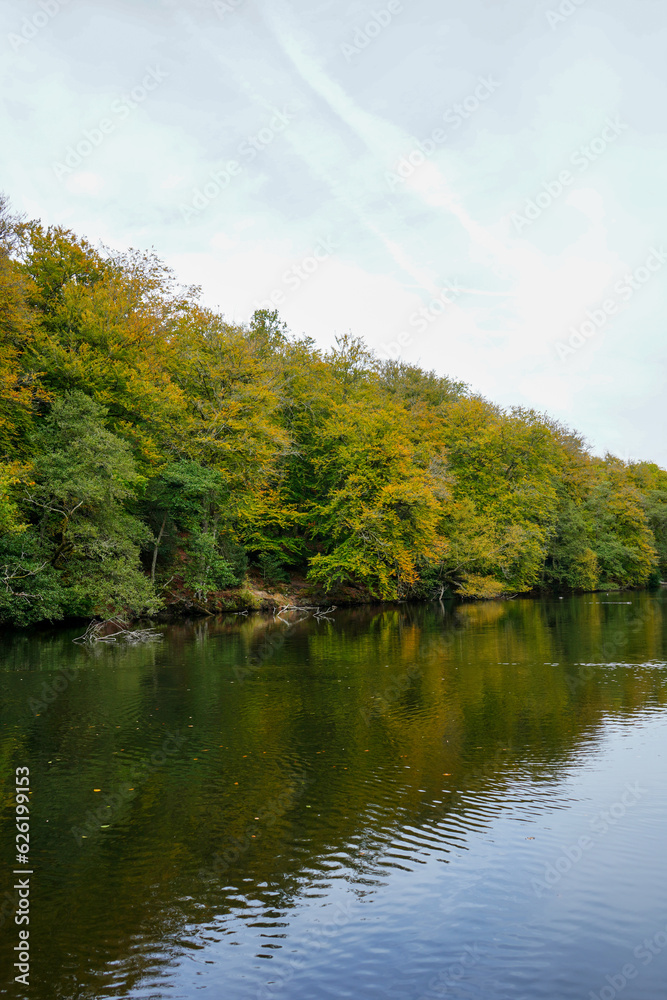 View over a lake surrounded by trees