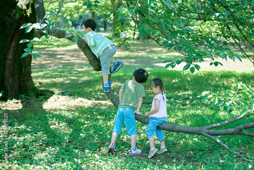 木登りをして遊ぶ子供たち photo