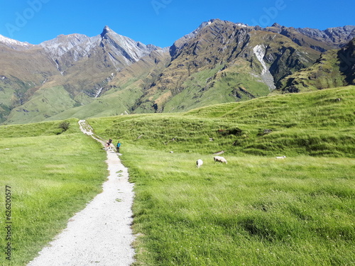 Endless grass and meadows in the valley