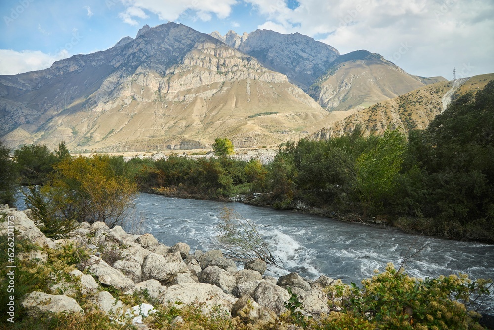The stormy mountain river Terek on the border of Russia and Georgia.